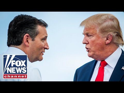 Ted Cruz: This is disgraceful