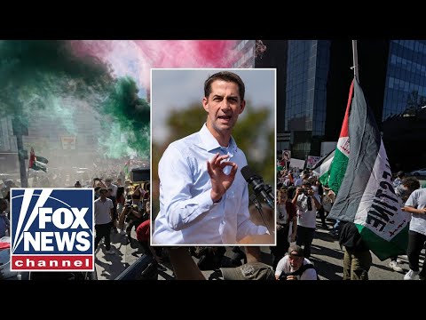 Senator calls for immediate deportation of Hamas supporters