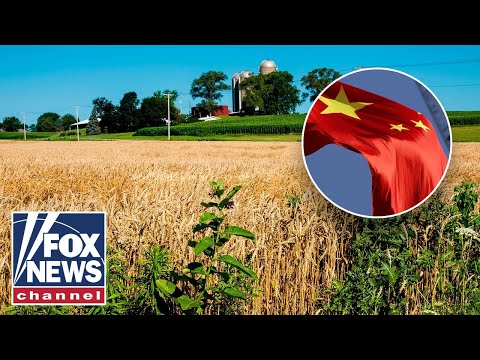 ‘ENOUGH IS ENOUGH’: Farmer sounds off on China stealing US farm tech