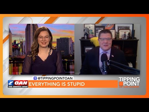 Everything Is Stupid Weekly Wrap Up