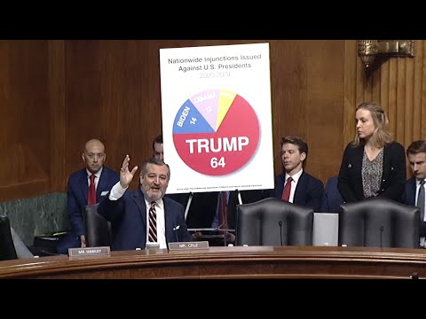 "Democrats Today HATE Democracy!" — Ted Cruz EXPLODES at Senate Hearing