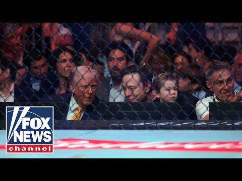 Roaring UFC crowd welcomes Trump, chanting 'USA!' #ufc314 #trump #elonmusk #ufc
