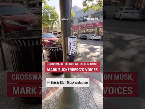 Crosswalk hacked with Elon Musk, Mark Zuckerberg’s voices #foxnews #News #fox #elonmusk #shorts