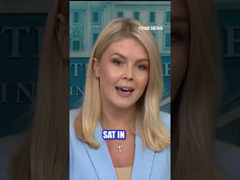 Leavitt puts Biden admin on blast #foxnews #News #us #shorts #trump #airport #travel #politics