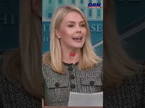 Should Illegal Immigrants Face Consequences?