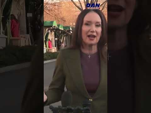 Secretary of Agriculture, Brooke Rollins, Says The Price Of Eggs Has Been Going Down