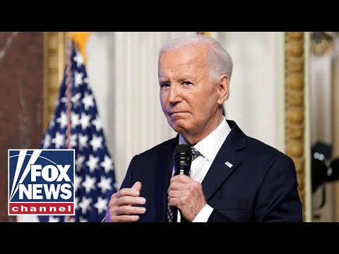 Biden aides were willing to do 'undemocratic' things to keep him in office, author warns