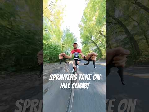We decided to race up the hill! Full video is linked below!