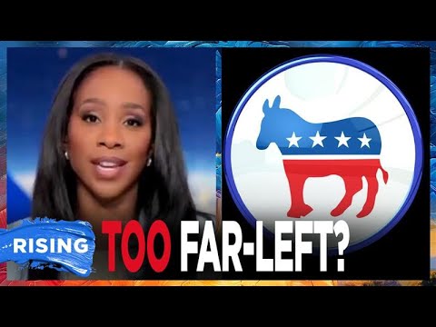 CNN Anchor ISSUES WARNING To Dems, Says They Must Get Rid Of Left-Wing ‘SACRED COWS’ | RISING