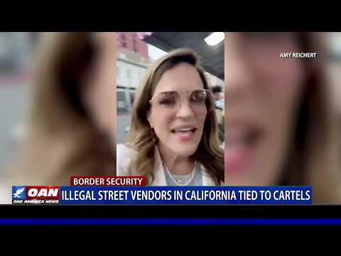 Illegal Food Cart Vendors Allegedly Tied to Cartels