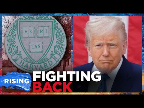 BREAKING: Trump Will CANCEL All Federal Contracts With Harvard! | RISING