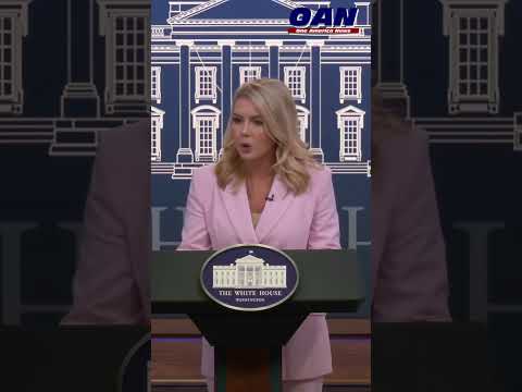 White House Pushes English Requirement for Truckers: 'Backbone of Our Economy'