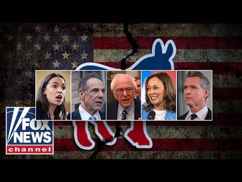 'DYSFUNCTIONAL FAMILY': Iconic playwright explains why Dems 'lost everything'