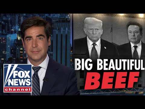 Watters: Elon Musk wants to ‘DOGE’ Trump