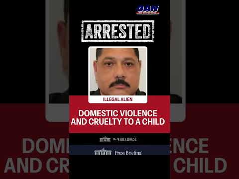 Is this who Democrats are defending?