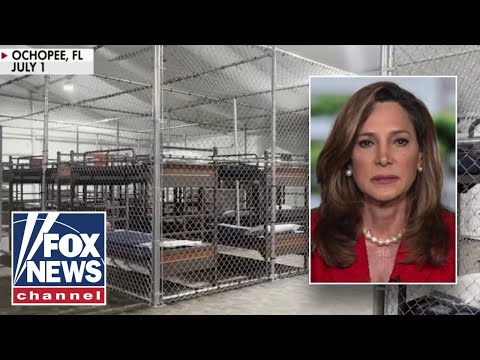 Florida rep. debunks Democrats' 'Alligator Alcatraz' claims: 'Cages were clean'