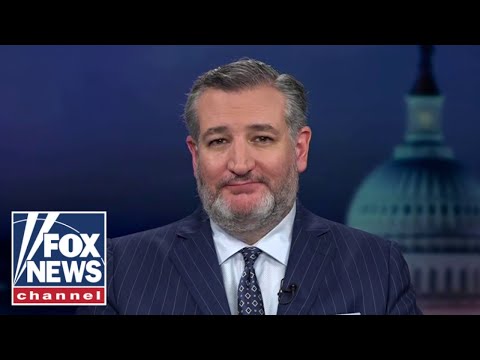 Dems have gone totally NUTS: Ted Cruz