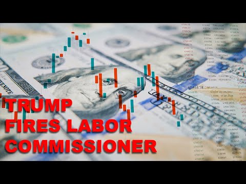Trump Fires BLS Chief Over Jobs Data Scandal as New Pick Coming in Days – Daniel Baldwin Reports