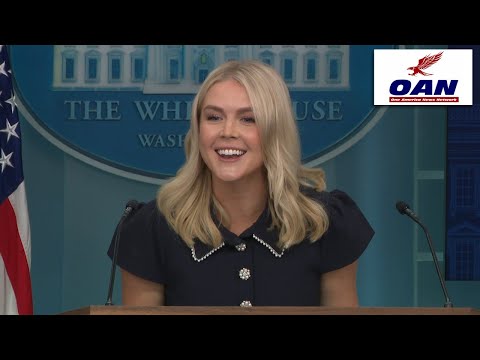 Karoline Leavitt Briefs on Trump-Putin Meeting and DC Crime Crackdown