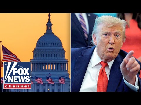 Trump declares DC a ‘CRIME FREE ZONE’ as liberal leaders remain defiant