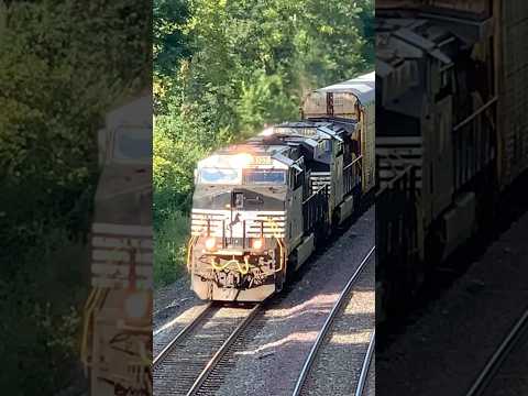 Train Reaches The Summit!  Norfolk Southern Railroad On The Hill, JawTooth shorts