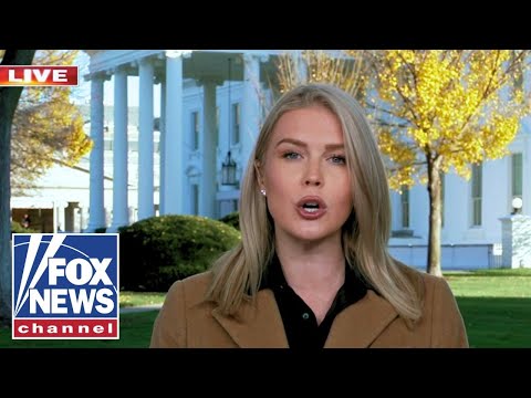 Karoline Leavitt puts Dems on BLAST