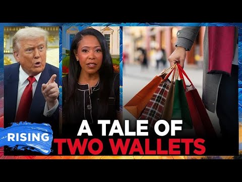 Holiday Shoppers HIT With HIGH COSTS In Trump's Economy: Lindsey Granger | RISING