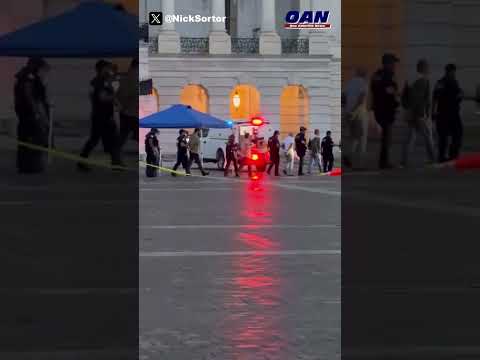 Chaos at the Capitol as anti-ICE protesters breach security barricades and storm past Capitol Police