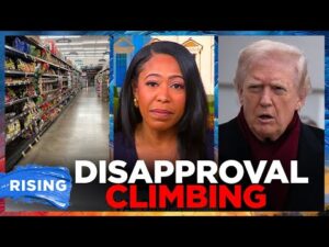 Voters FRUSTRATED With Economic REALITY As Holiday Season HITS: Poll — Lindsey Granger | RISING