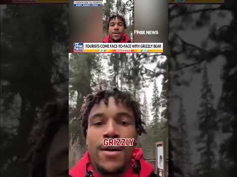 WATCH: Hikers come FACE TO FACE with GRIZZLY BEAR #foxnews #News #us #fox