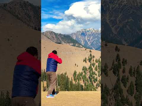 Look how they're pulling the hill!