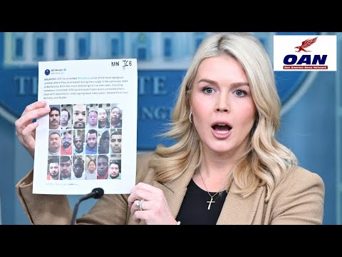 Press Secretary Karoline Leavitt: ICE Agent Was Executing Targeted Operation