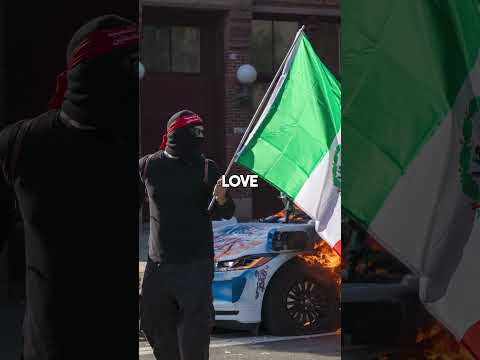 Do you think you should go to jail for burning the American flag?