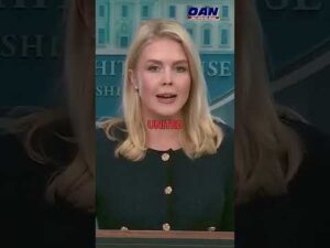 Do you trust mainstream media?