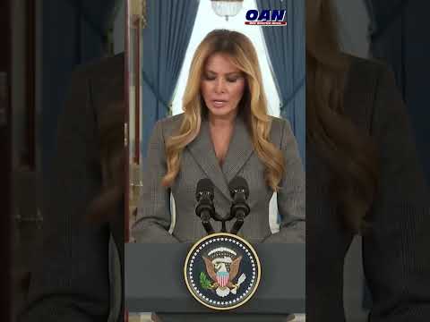 Melania Trump: The lies linking me with the disgraceful Jeffrey Epstein need to end today.