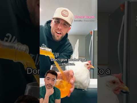 Would you give alcohol to a chicken?