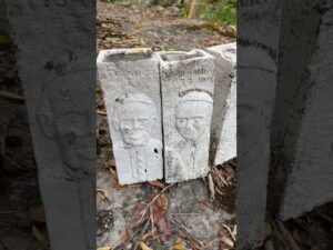 A hike to the hill to come see a virgin and we ran into everything on the way #viralchallenge