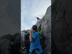 Wow, there's a turkey on the hill. #nature #shortvideo