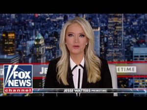 McEnany: Dems just got caught…