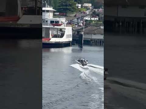 Boater appears UNCONSCIOUS before speeding into rocks #shorts #us #News #foxnews #DUI