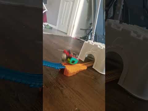 Down The Hill And Round The WHOA (Talking Whiff version)