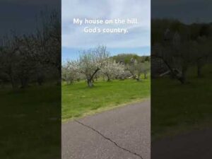 House in the hill. #appleorchard #countrylife