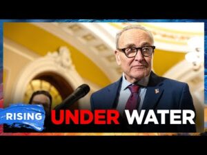 Chuck Schumer popularity PLUMMETS amid calls for new senate leadership, DSA SURGE | RISING