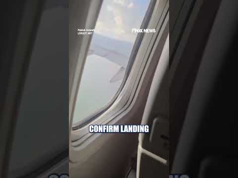 WATCH: Flames SHOOT from plane engine midair after bird collision #shorts #foxnews #News #us