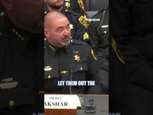 NY sheriff puts Hochul's sanctuary policies on BLAST #shorts #foxnews #us