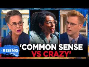 ‘Completely RADICAL’: Rep. Harriet Hageman WARNS of DSA RISE, says GOP MUST WIN | RISING