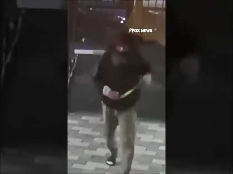 Homeless man CHASES student home, climbs barrier and walks free #shorts #foxnews #us
