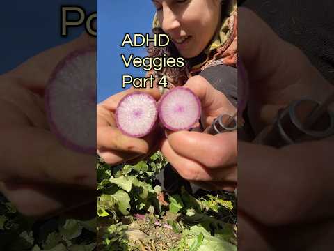 I will die on the hill that it’s better than white or red daikon by far. #gardening101 #garden